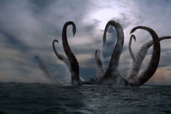 Kraken настоящая ссылка