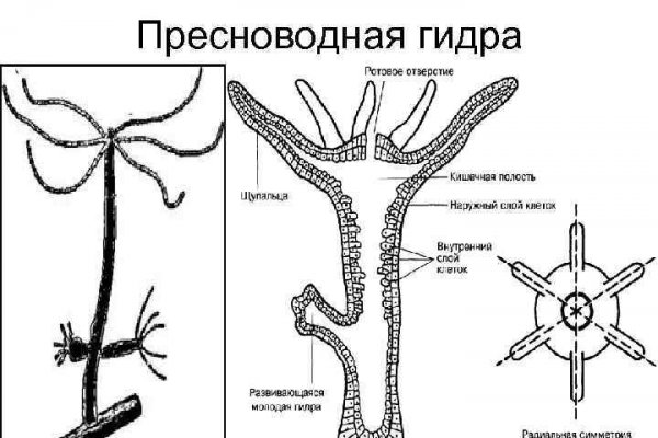 Кракен сайт упал